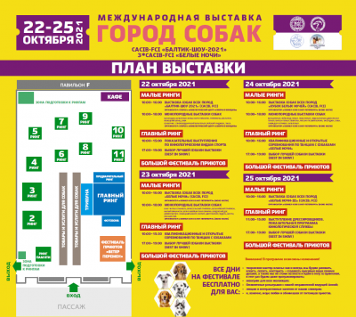 городСобак2021.png