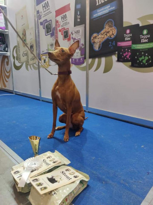 FB_IMG_1635168773008.jpg