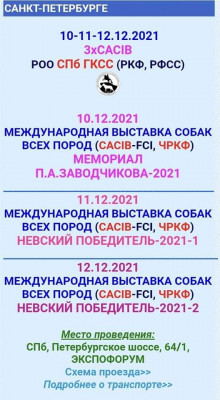 FB_IMG_1638826719666.jpg