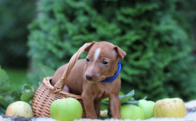 IMG_0339 (2).JPG